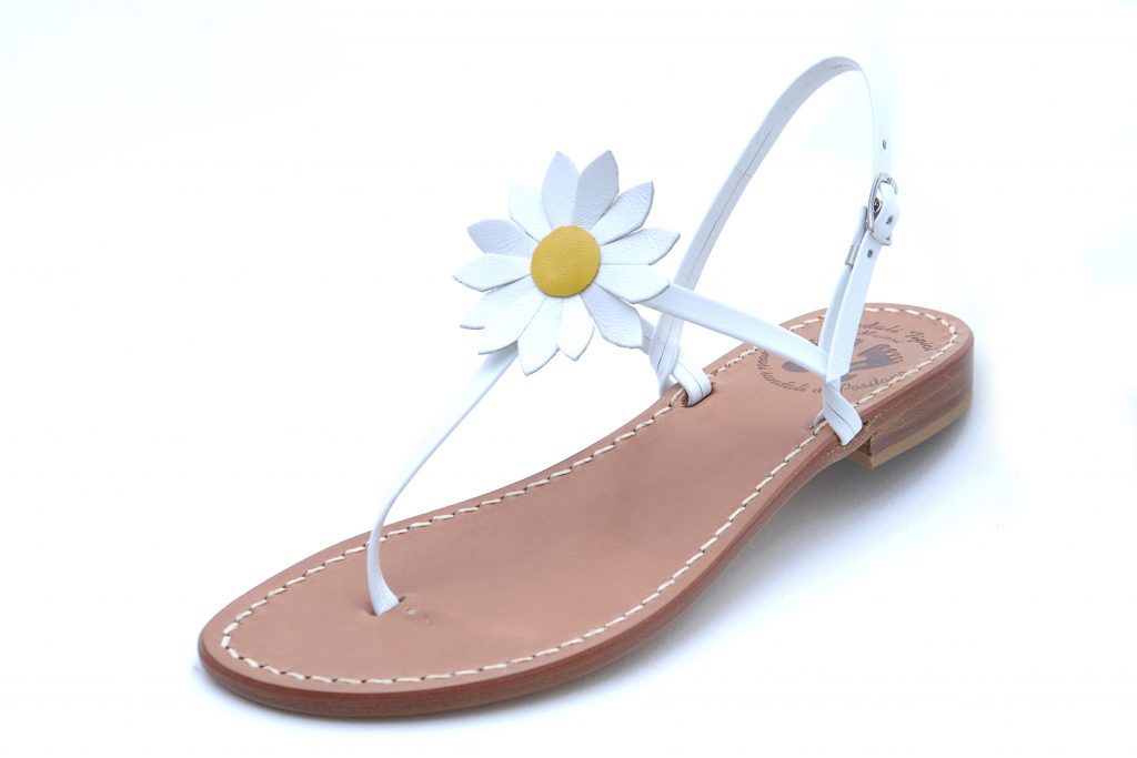 Daisy